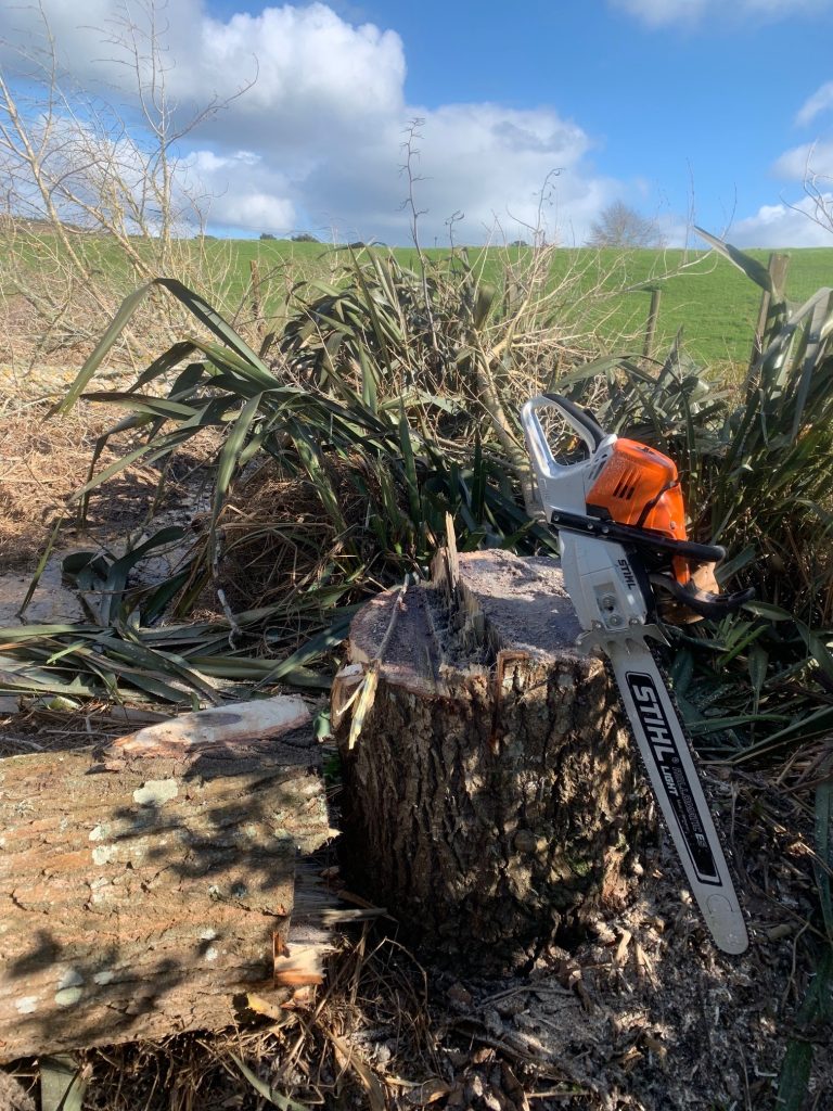 tree_removal_services